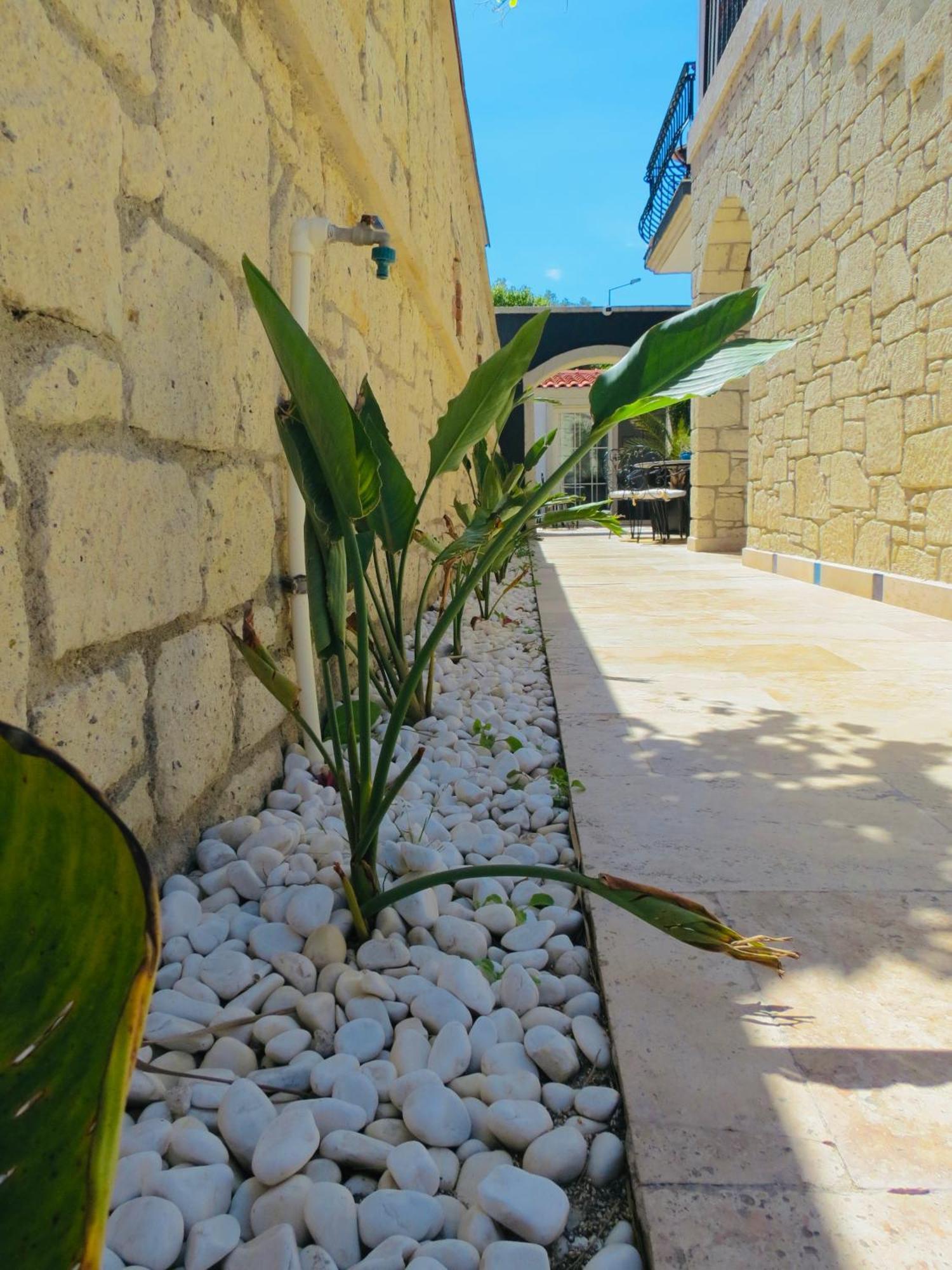 Fedora Otel Alaçatı Esterno foto